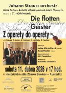 Johann Strauss orchestr 1